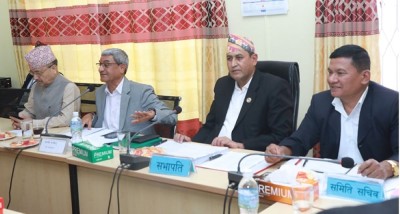  नागरिकता विधेयक : संसदीय समितिबाट सर्वसम्मत पारित, अब आमाको नामबाट पनि सहजै पाइने 